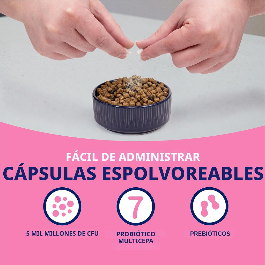 Nutramax Probióticos proviables para perros y gatos pequeños, kit d...