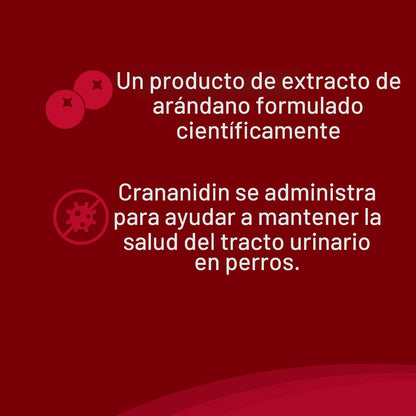 Nutramax Laboratories Crananidin Extracto de Arándano Suplemento pa...