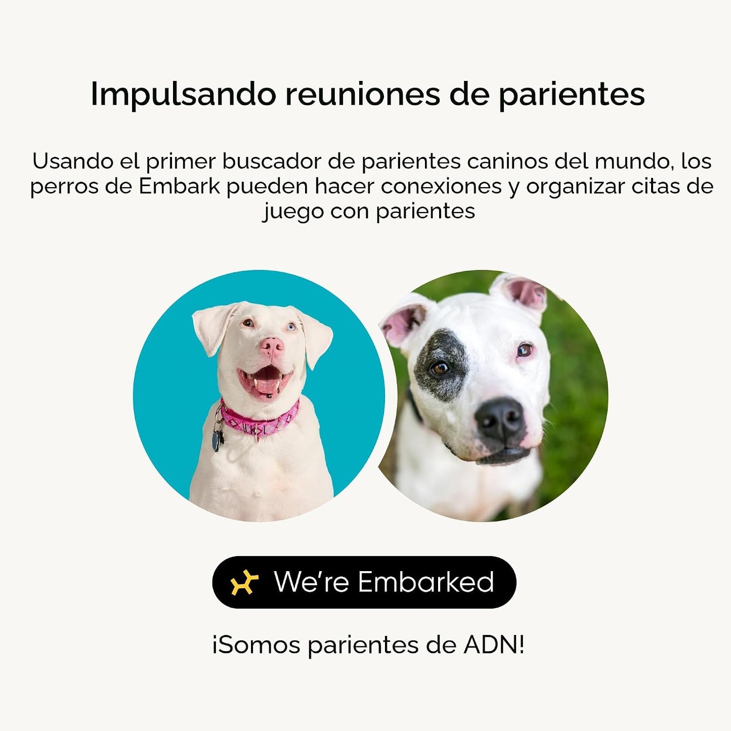 Kit de identificación de raza Embark - Kit de prueba de ADN para pe...
