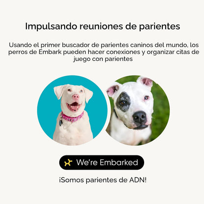 Kit de identificación de raza Embark - Kit de prueba de ADN para pe...
