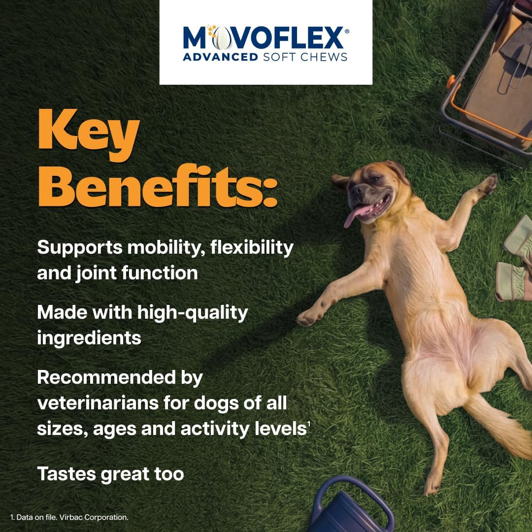 MOVOFLEX Virbac - Suplemento de apoyo para articulaciones de cadera...