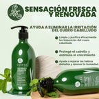 Champú desenredante de aceite de Argán y árbol de té, varios tamaños