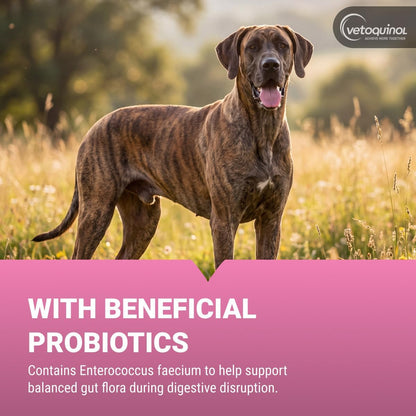 Vetoquinol Pro-Pectalin Comprimidos masticables para perros y gatos...