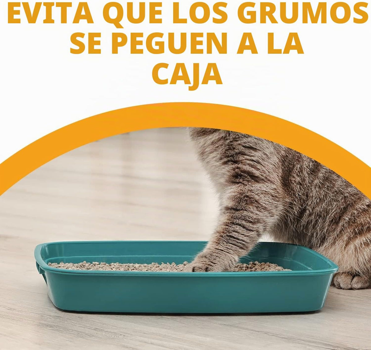 ARM &amp; HAMMER Desodorizador de arena para gatos Double Duty, 20...
