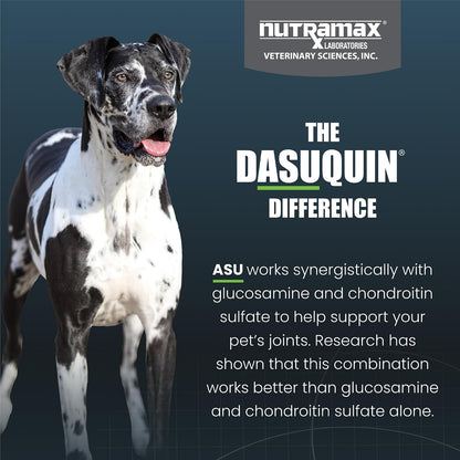 Nutramax Dasuquin para perros grandes, suplemento para la salud de...