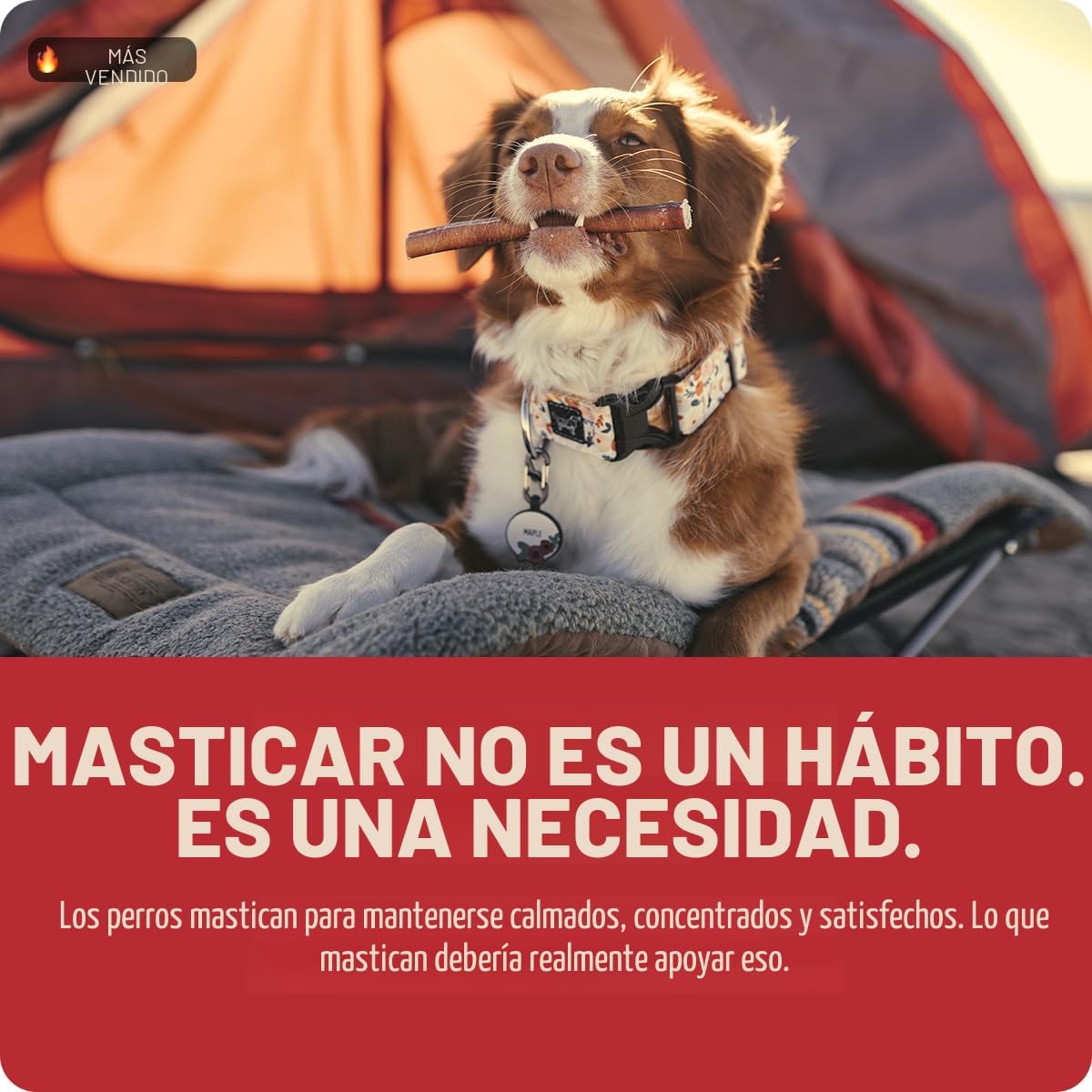 Natural Farm Bully Sticks, sin olor, (6 pulgadas, 12 onzas), empaqu...