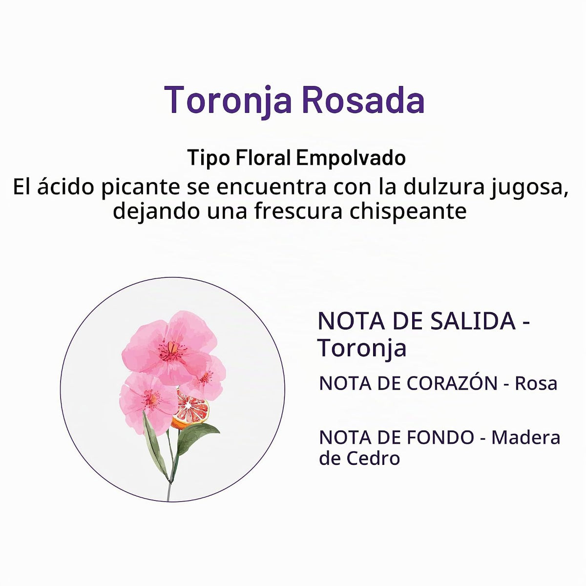 KUNDAL Juego de champú y acondicionador coreano [pomelo rosa] Calid...
