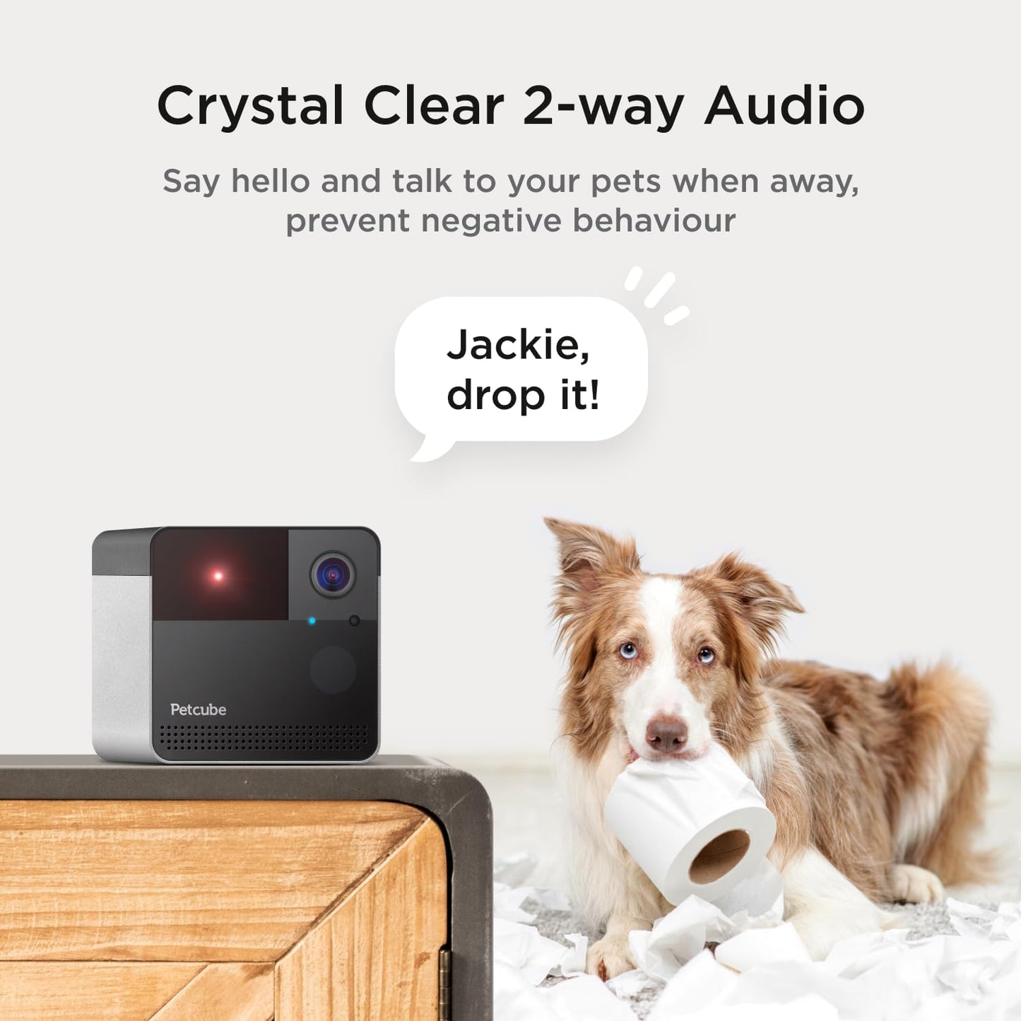Petcube Play 2 Cámara Wi-Fi para mascotas con juguete láser para ga...