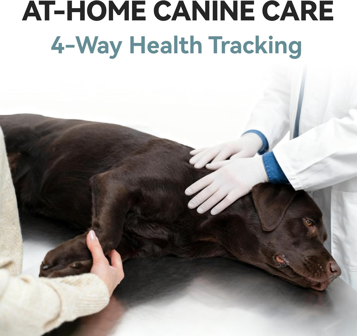 vivometra Home Check Kit de bienestar para perros 4 en 1 2 (paquete...