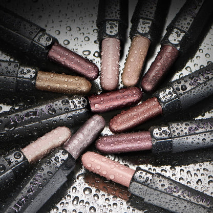 LUXAZA PRO - Juego de maquillaje de 10 sombras de ojos marrón, pale...