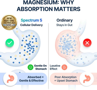 Spectrum 5 Magnesio | Complejo 5 en 1 + 72 minerales traza para una...