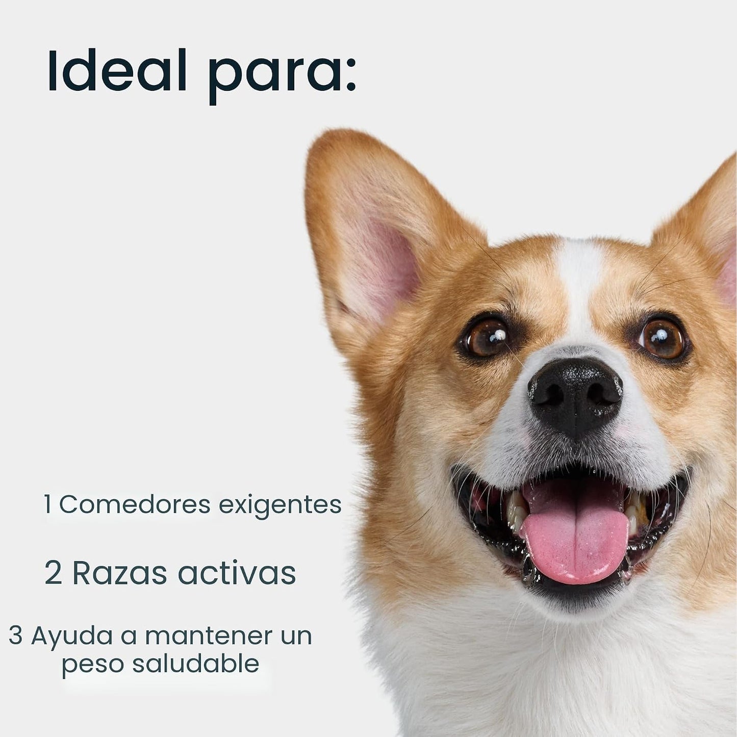 JustFoodForDogs JustFresh Comida Húmeda para Perros, Comidas y Adit...