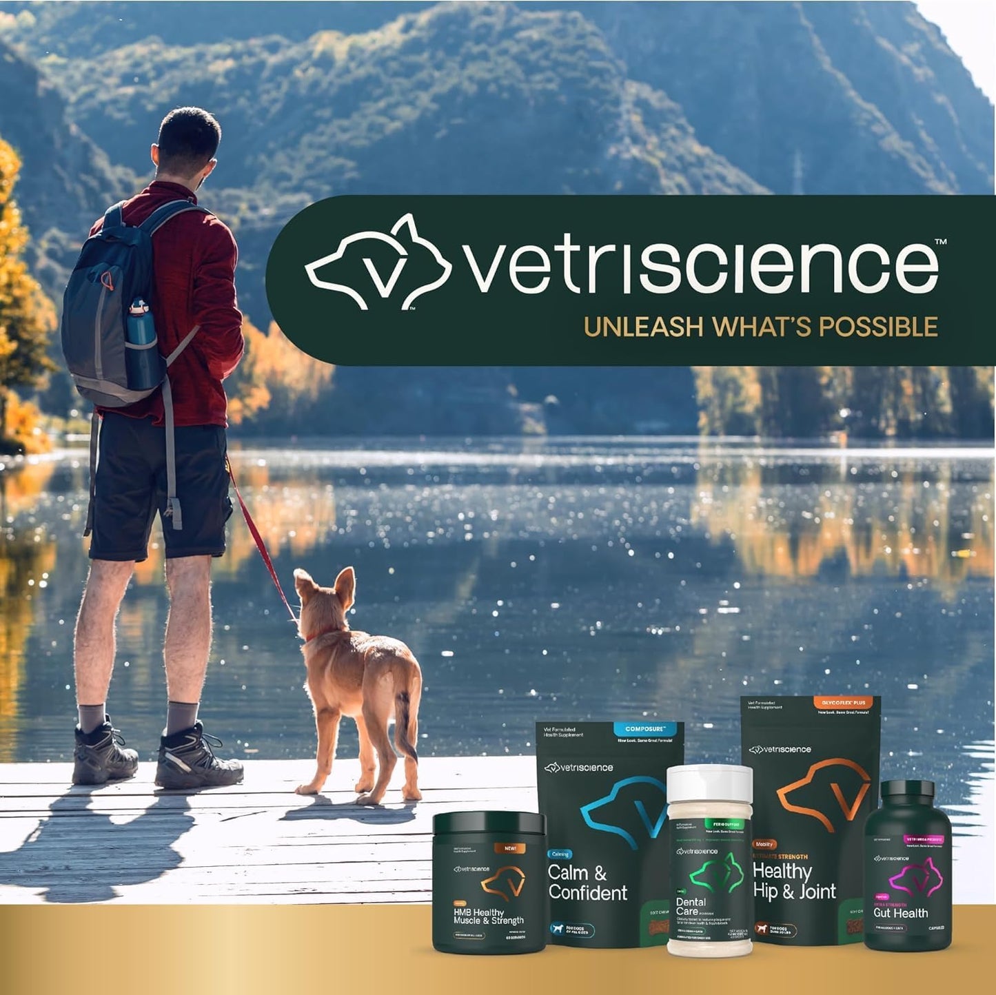 VetriScience Polvo dental para perros de boca saludable, paquete de...