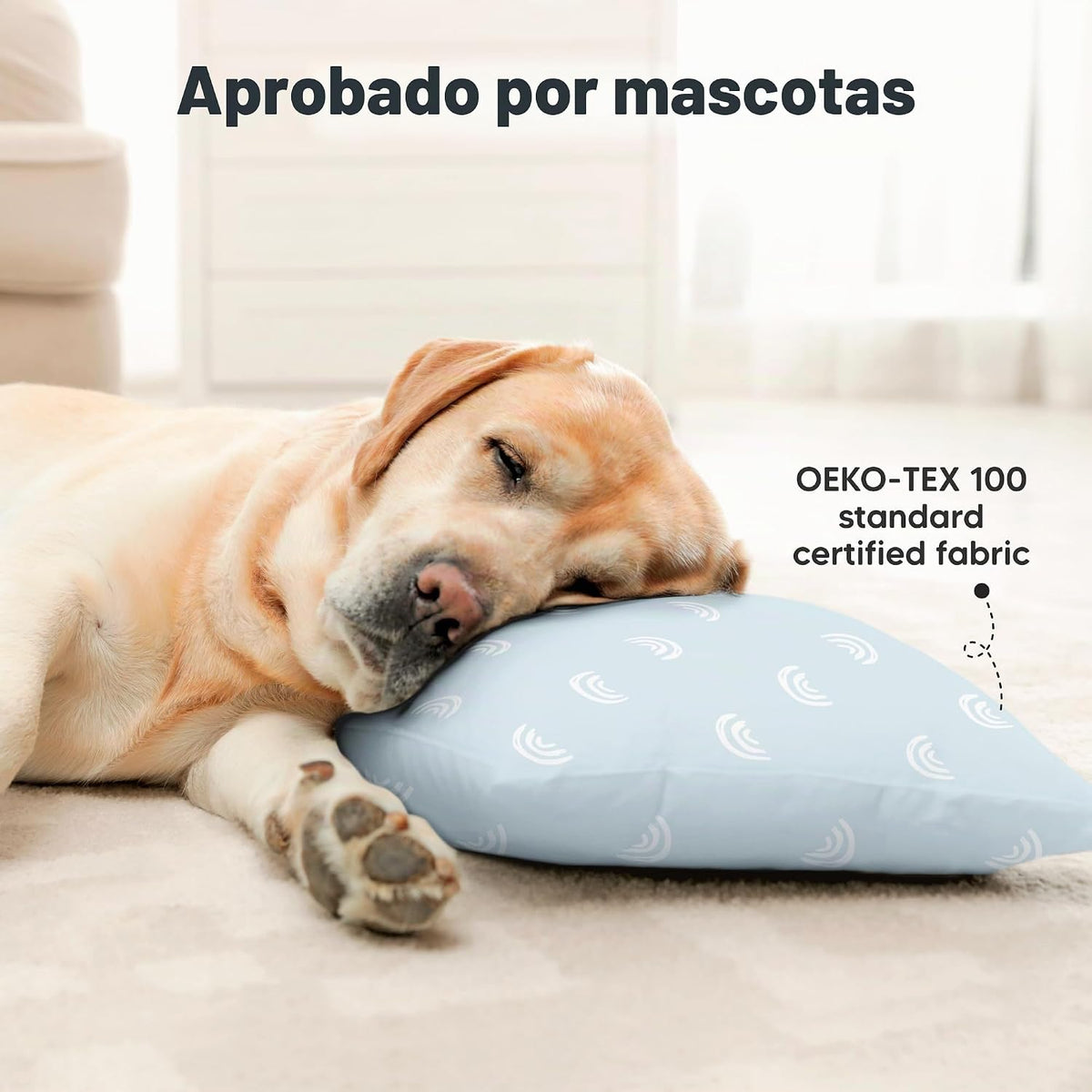 Paquete de 2 almohadas para niños de 2 años a 5,13 x 18 pulgadas (a...
