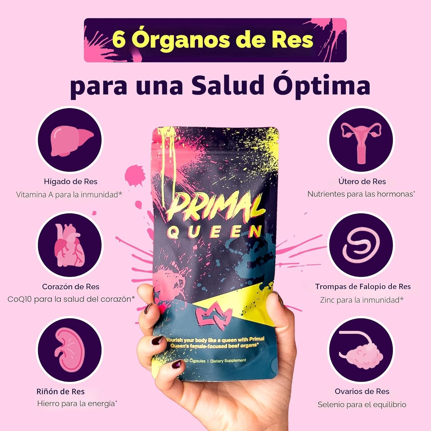 Primal Queen Suplemento de Superalimento de Órganos de Res Optimiza...