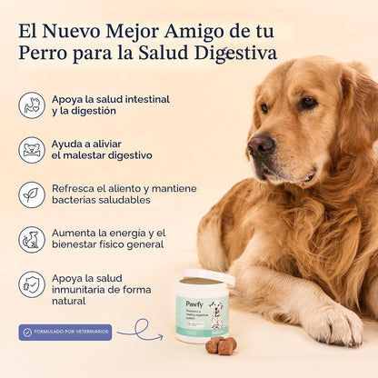 Pawfy Probióticos para perros | Apoya la salud digestiva, diarrea p...