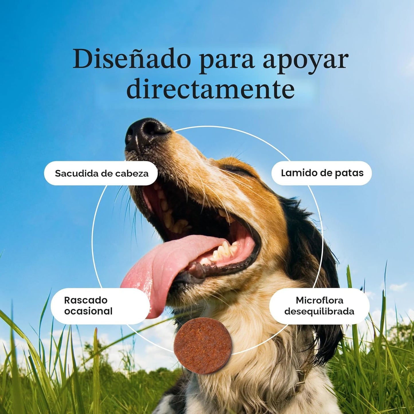PetLab Co. Probióticos para alergias e inmunitarios para perros, ay...