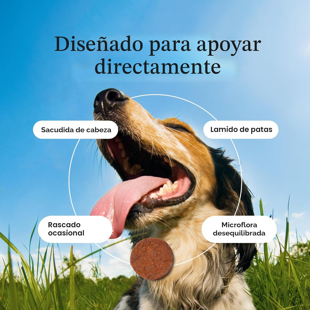 PetLab Co. Probióticos para alergias e inmunitarios para perros, ay...