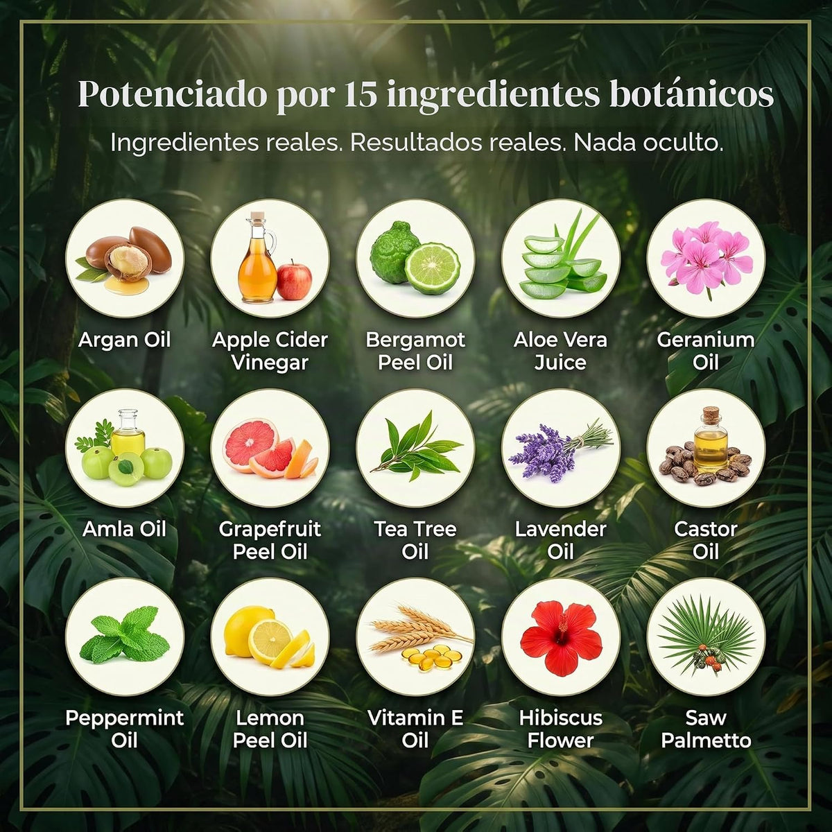PURA D'OR Set de champú y acondicionador de vinagre de manzana...