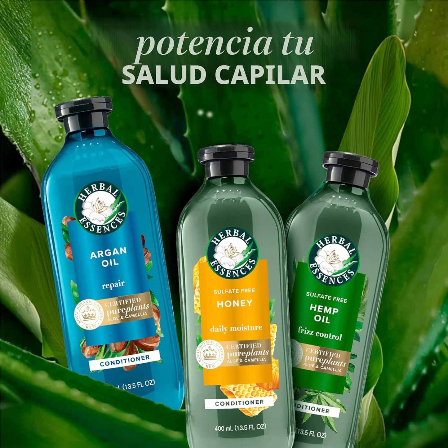 Herbal Essences Juego de champú y acondicionador reparador de aceite de argán, hidrata y suaviza, sin parabenos, seguro para el color, pH equilibrado, aroma cítrico, 20.2 onzas líquidas, paquete de 2