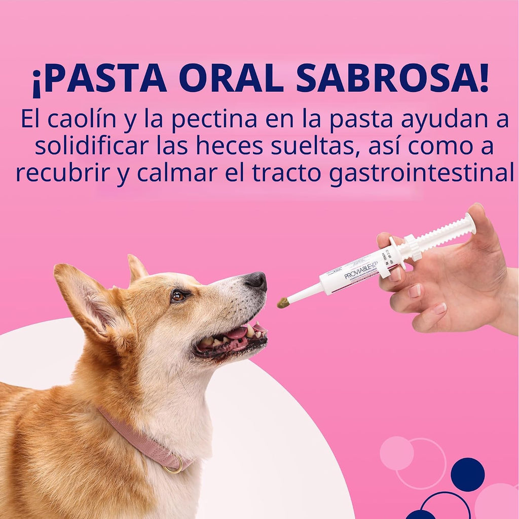 Nutramax Proviable Probióticos para Perros, Kit de Apoyo para la Di...