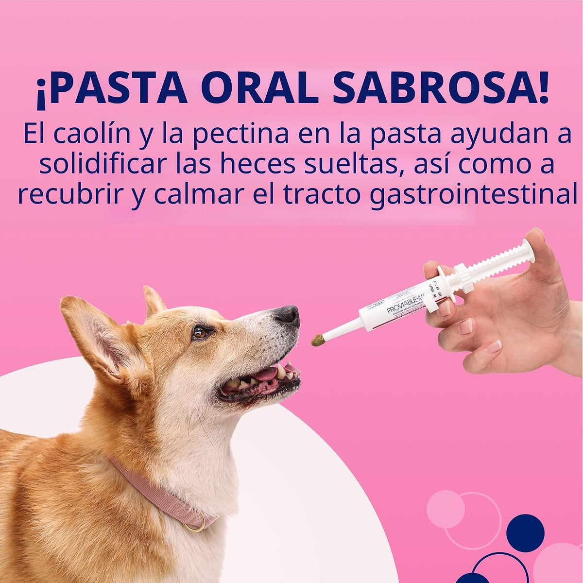 Nutramax Probióticos proviables para perros y gatos pequeños, kit d...