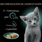 Sheba Perfect Portions - Alimento húmedo en paté para gatos, paquet...