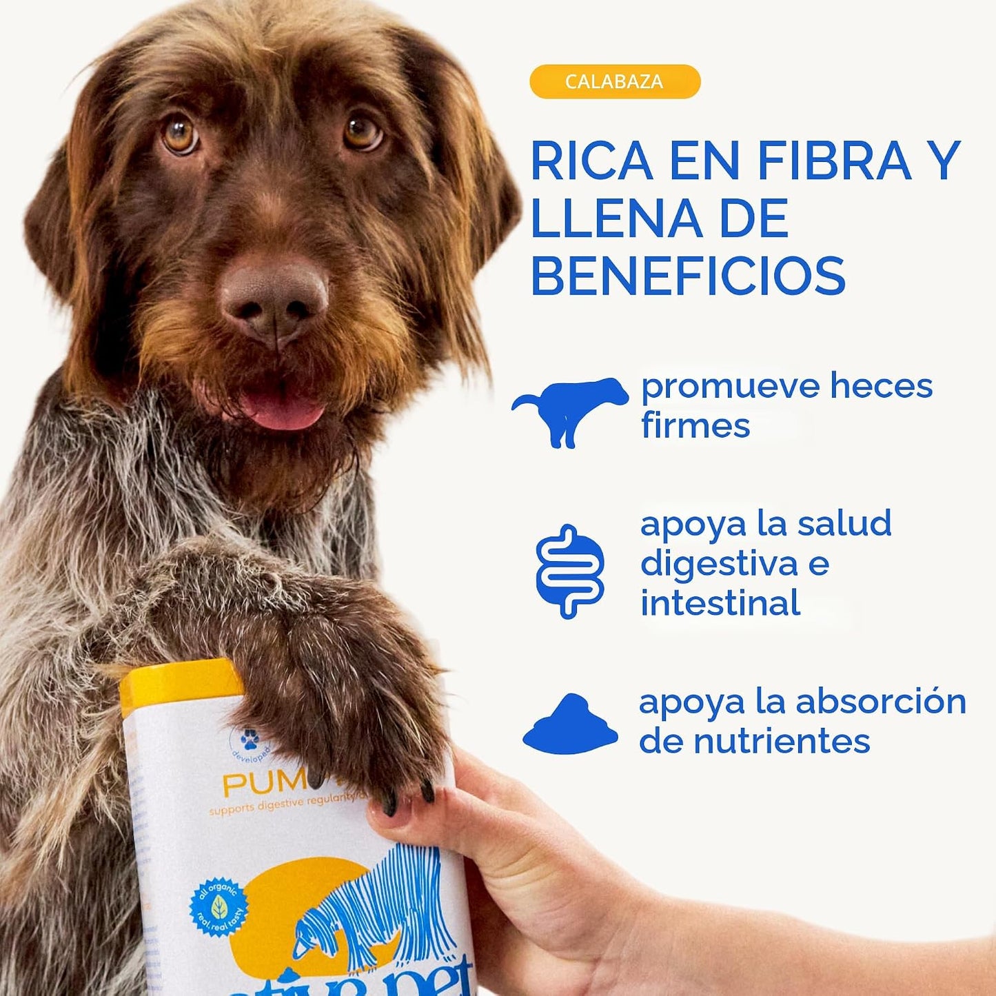 Native Pet Calabaza para perros \u2013 Polvo orgánico de puré de ca...