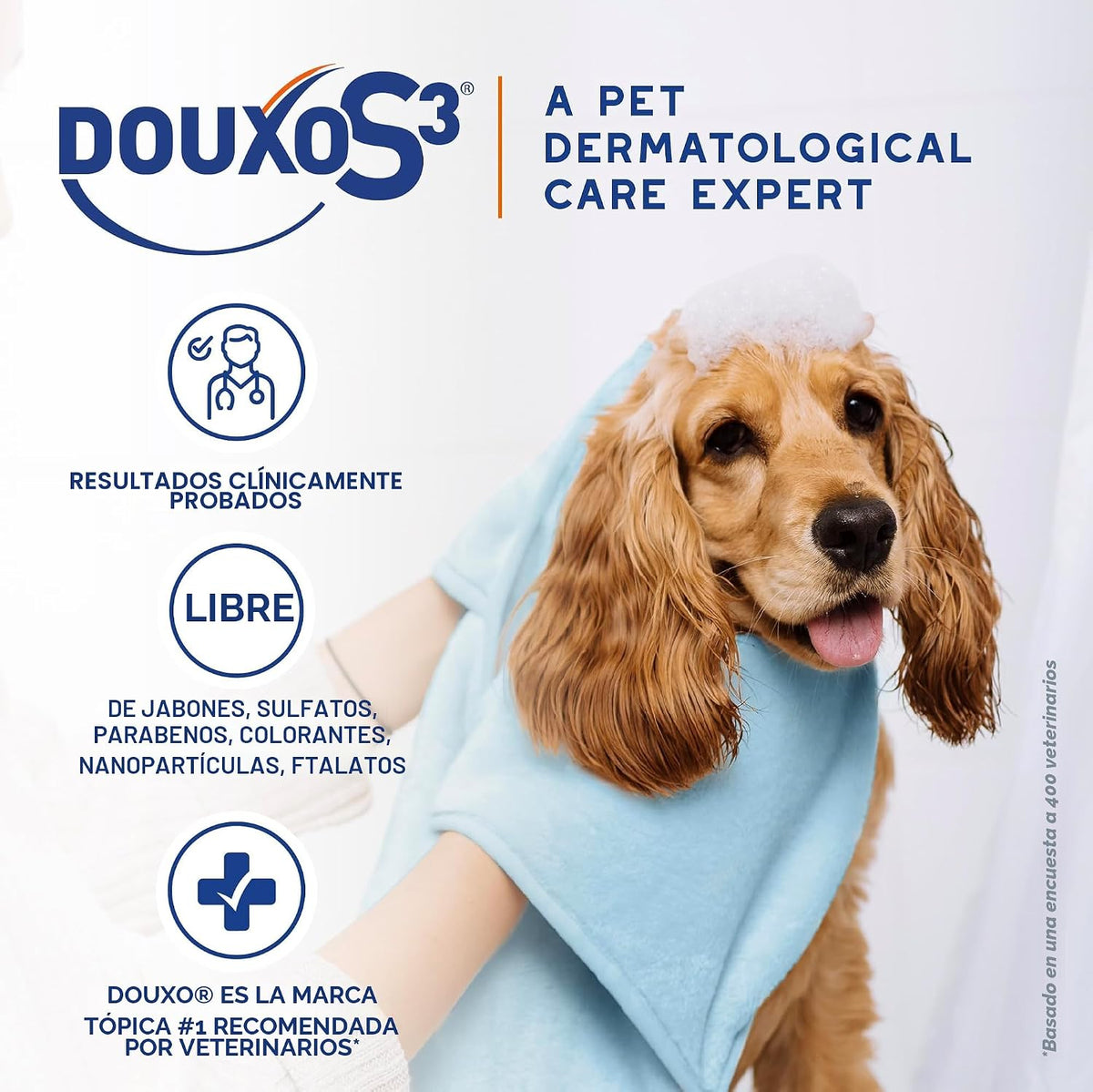 Douxo S3 PYO Champú de clorhexidina para perros, champú medicado an...
