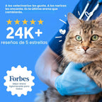 Boxie Arena Probiótica para Gatos, Control de Olores de 40 Días, Ar...