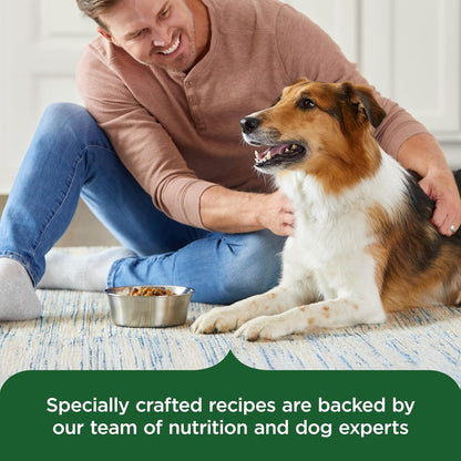 Nutrish Rachael Ray - Comida seca para perros adultos, receta de po...