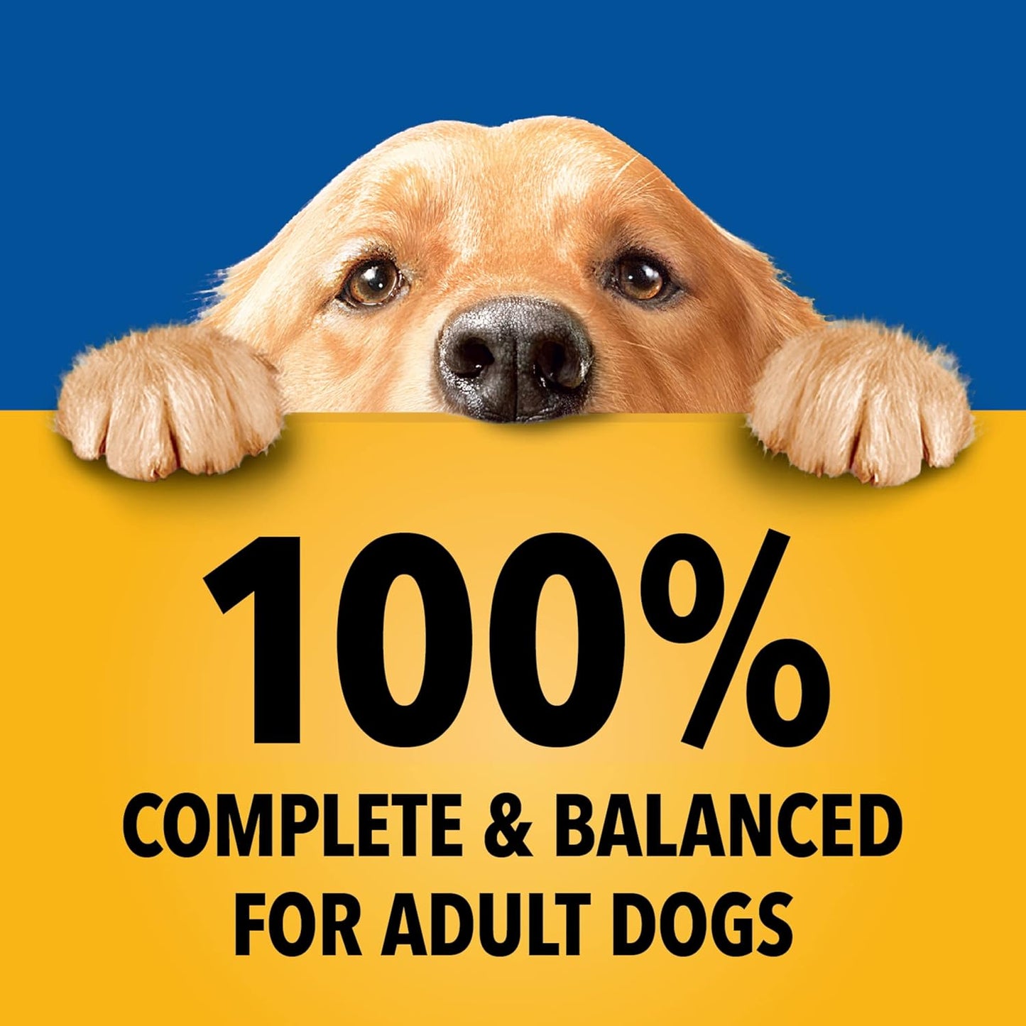 Pedigree - Comida húmeda para perros adultos de cena molida en un p...