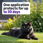 Amazon Basics Tratamiento tópico preventivo contra pulgas para gato...