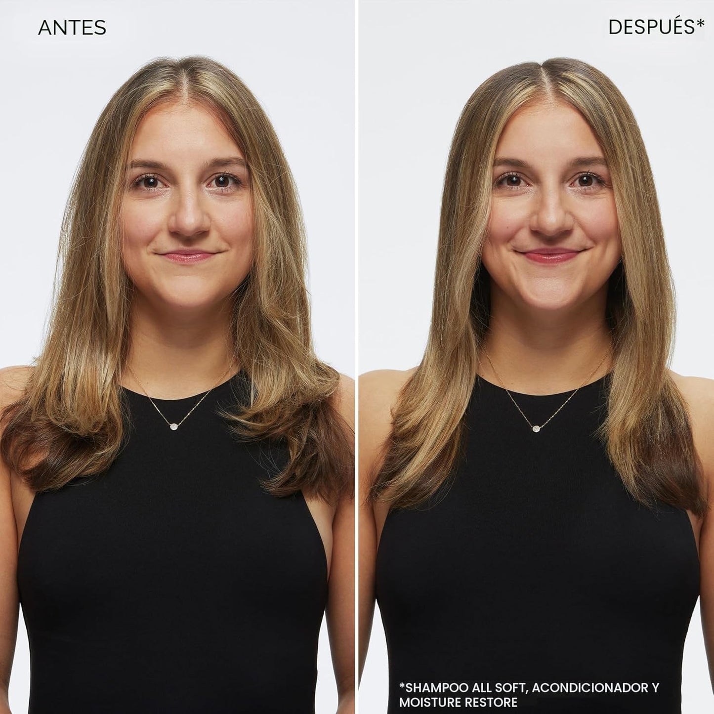 Redken All Soft Shampoo - Hidrata y nutre el cabello seco y quebrad...