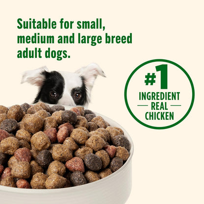 Rachael Ray Nutrish - Alimento para Perro Natural Seco