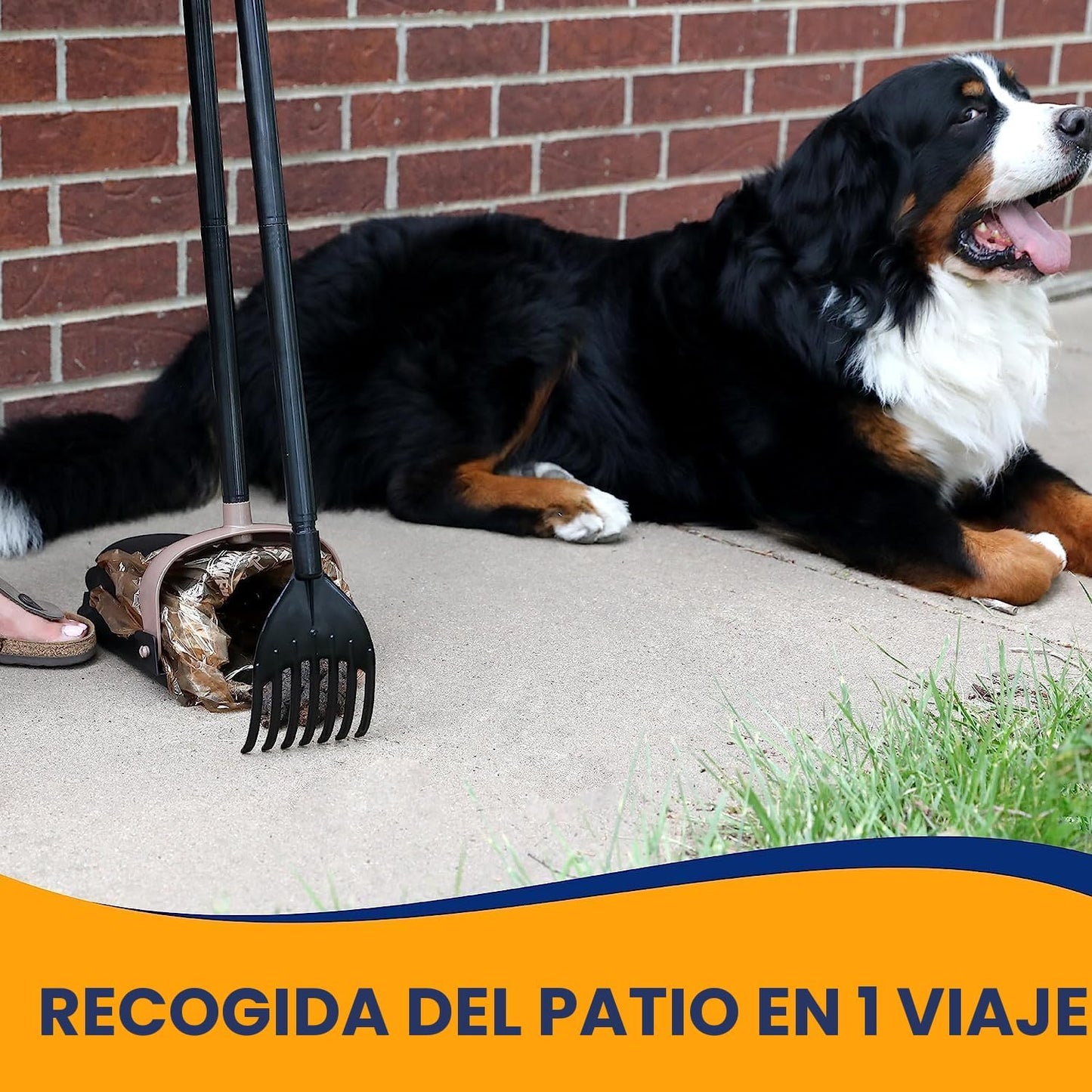 Petmate - Basurero giratorio Arm &amp; Hammer 70067, rastrillo y re...