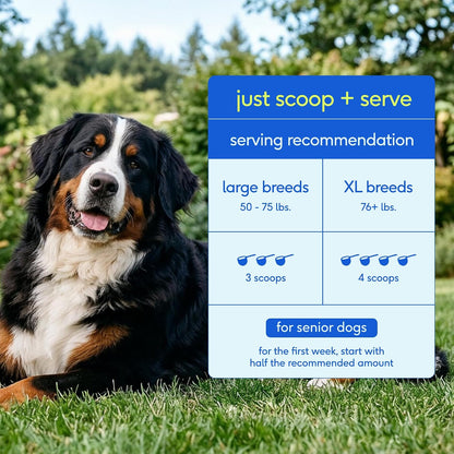 Native Pet Vitaminas y suplementos diarios para perros mayores \u20...