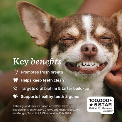 PetLab Co. ProBright Polvo Dental - Refrescante del Aliento para Pe...