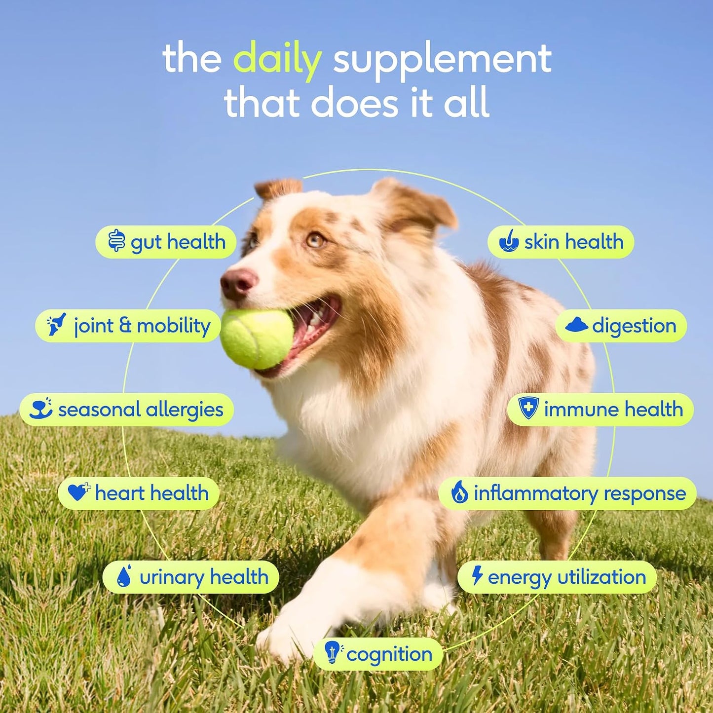 Native Pet Vitaminas y Suplementos para Perros - Polvo de Vitaminas...