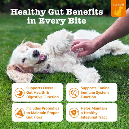Zesty Paws Probióticos para perros - Enzimas digestivas para la flo...