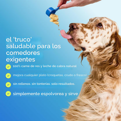 Native Pet Vitaminas y Suplementos para Perros - Polvo de Vitaminas...
