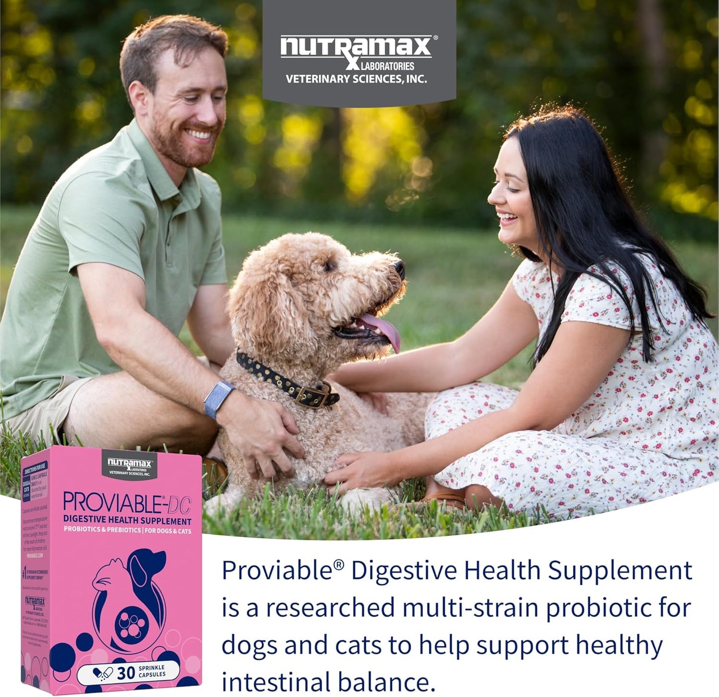 Nutramax Proviable Probióticos para Perros y Gatos, Suplemento Diar...