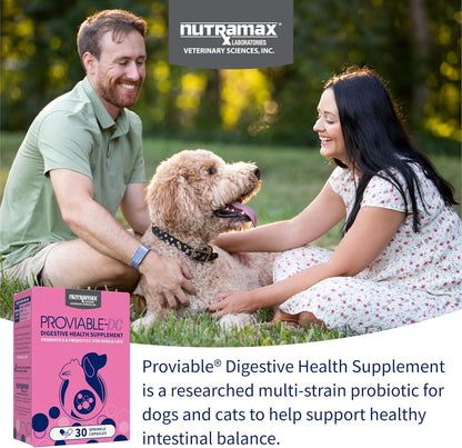 Nutramax Proviable Probióticos para Perros y Gatos, Suplemento Diar...