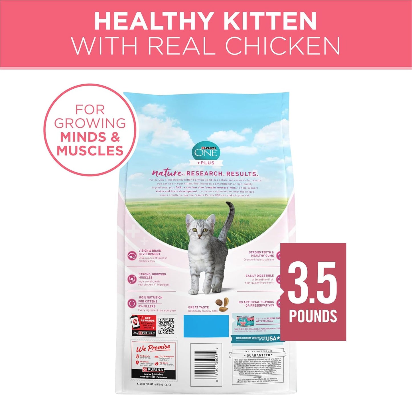 Purina ONE - Alimento seco natural para gatitos, alto contenido en...
