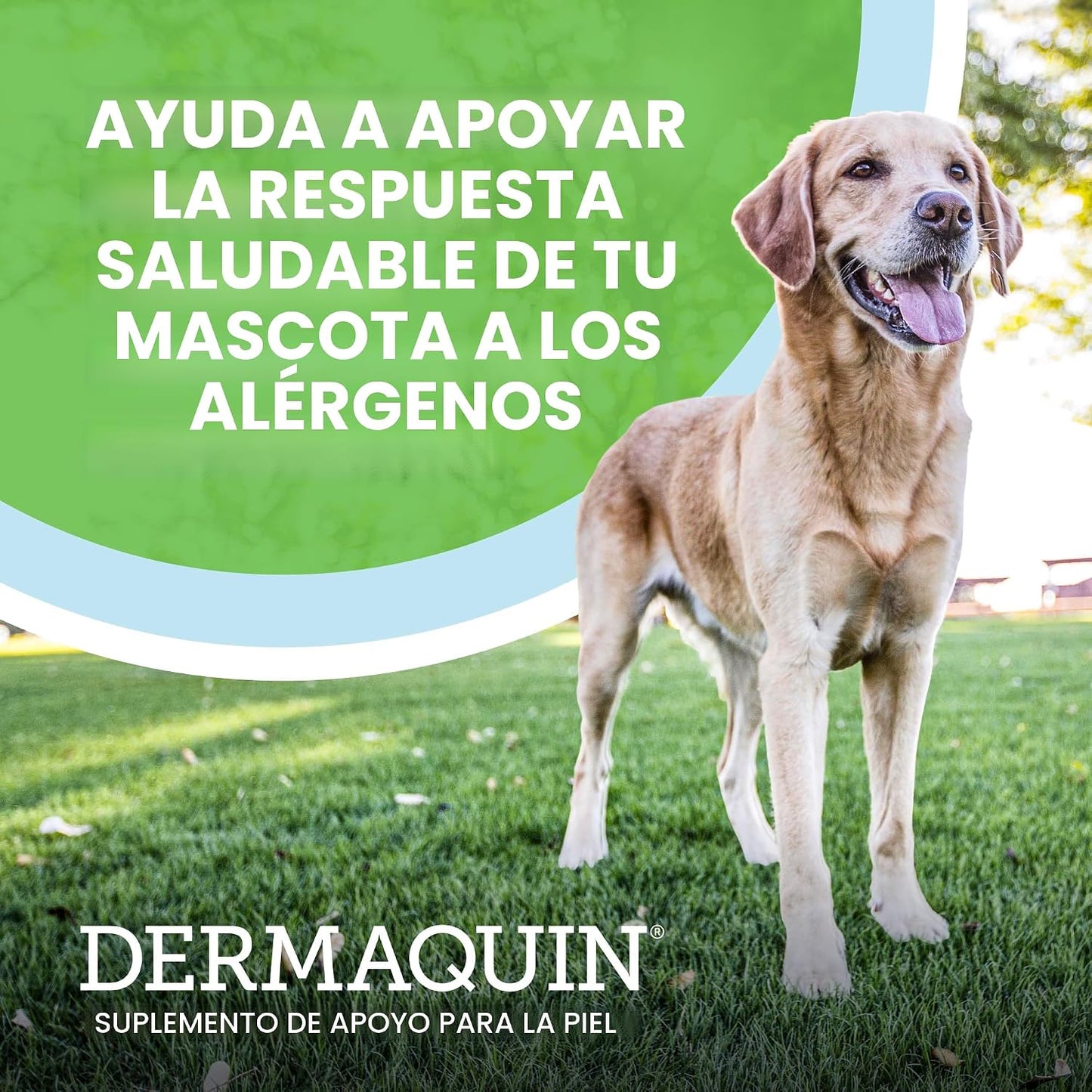 Nutramax Dermaquin Suplemento de Apoyo para la Piel para Perros Gra...