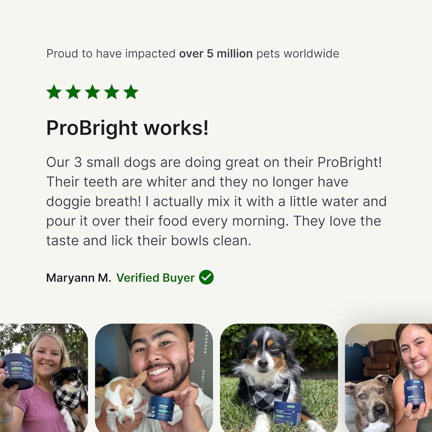 Polvo dental ProBright de PetLab Co. - Desodorante de aliento para...