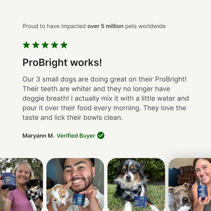 Polvo dental ProBright de PetLab Co. - Desodorante de aliento para...