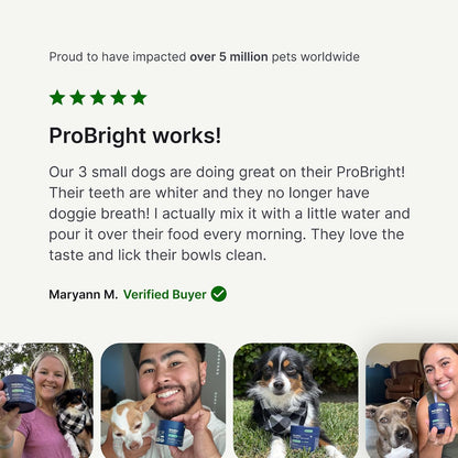 Polvo dental ProBright de PetLab Co. - Desodorante de aliento para...