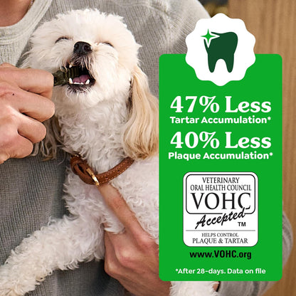Greenies Dog Dental Chews Aperitivos para perros \u2013 Tamaño regu...