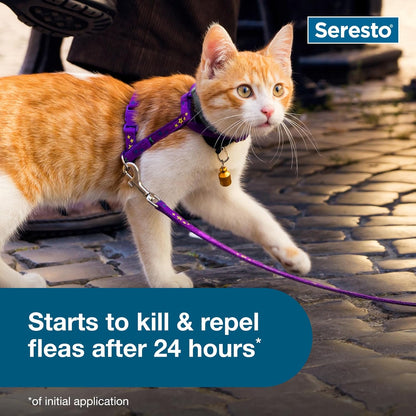 Seresto Collar para tratamiento y prevención de pulgas y garrapatas...